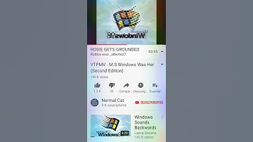 ytpmv m.s windows