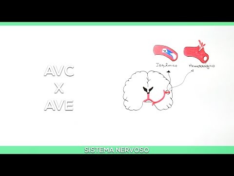 Vídeo: Diferença Entre AVC E AVC