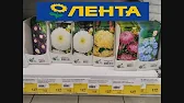 U.Natali Домовитая Хозяйка