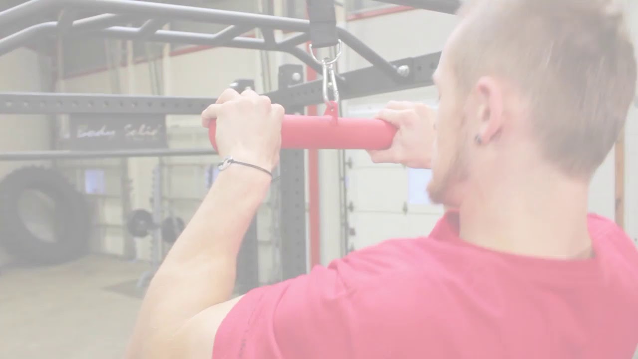 Body Solid+Dog+Bone+Grip+BSTDB+%28BodySolid com%29