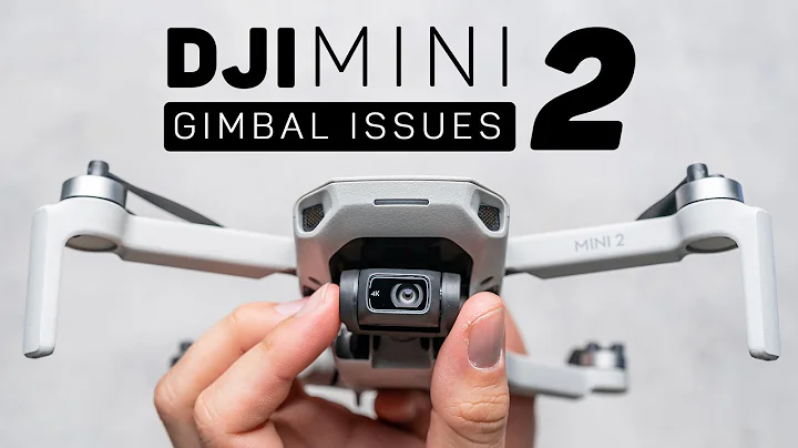 DJI Mini 2 Gimbal Issues Explained