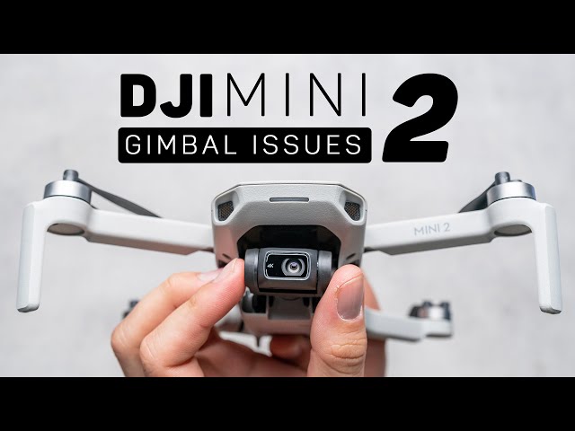 DJI Mini 2 Gimbal Failure (How to Fix It) - Droneblog