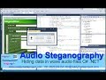 eSteganoWave: Secure Audio Steganography in WAV Files with C# π΅
