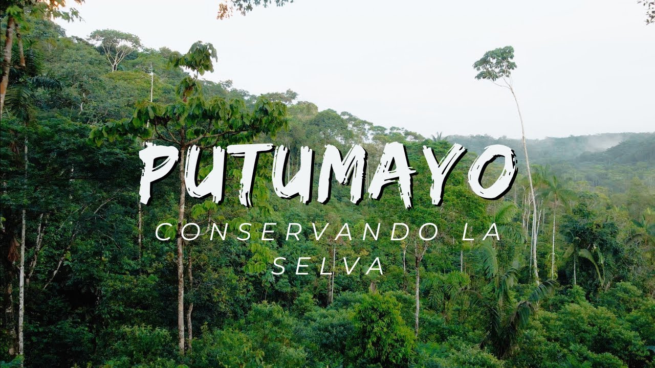 guardianes-del-putumayo-historias-inspiradoras-de-conservaci-n-en-la