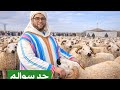 سوق حد سوالم اليوم خبر سار لدرويش التمن في تراجع