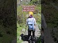 #туризм #хайкинг #горы #юмор