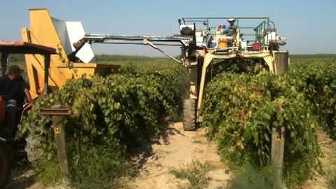 Spectrum Grape Harvester