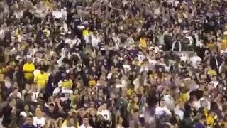 LSU STUDENT SECTION GETS HYPE TO MO BAMBA