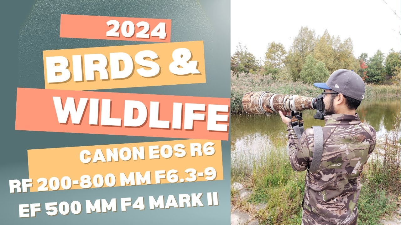 Manteau De Protection Imperméable Camouflage Pour Sigma 500 Mm F5.6 DG