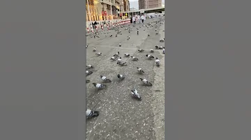 ولي أمل بربي لايخيب يوسف الأيوب 