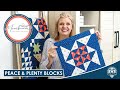 Live peace  plenty blocks for moonbeams charity quilt part 3  behind the seams