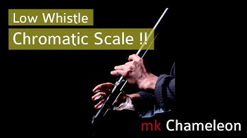 Chromatic Scale on Low Whistle