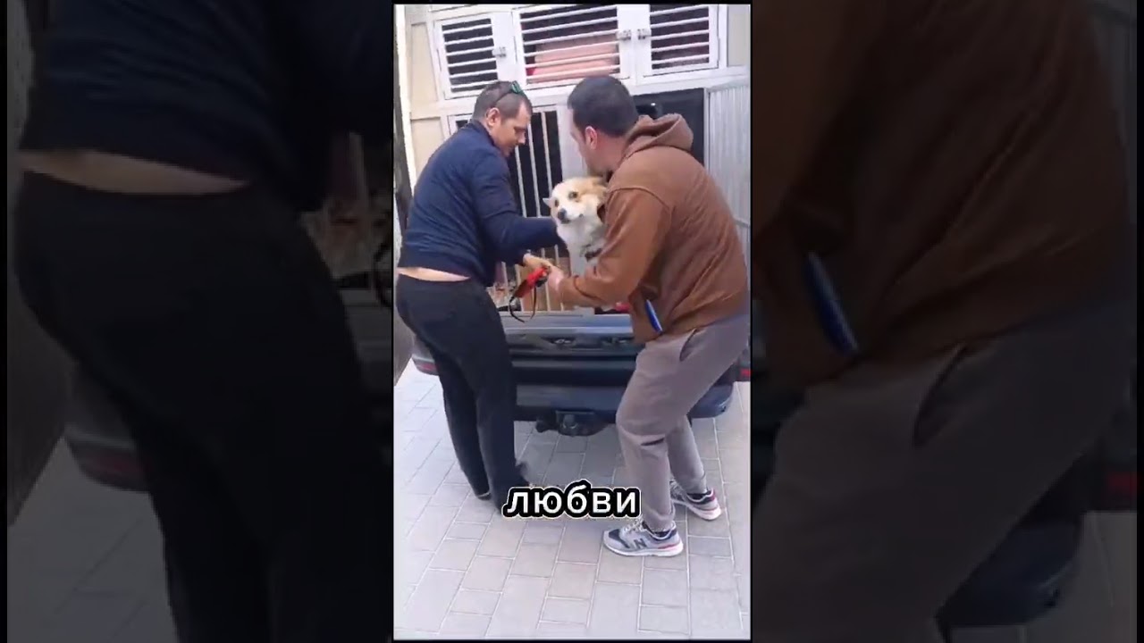 Забота и любовь на каждом километре с Animal Trips 