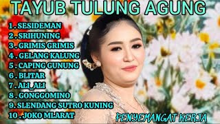 Gending Jawa Terlaris Tayub Tulung Agung Gayeng Banget Kangge Konco Makaryo Lestarikan Budaya Jawa