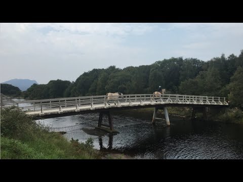 The High Road - The High Road