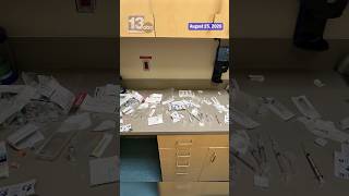 Flight attendant shares rabies shot journey after bat bite