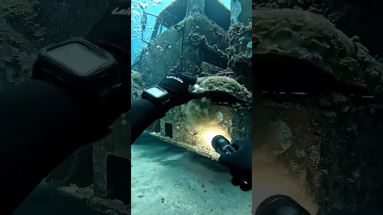 POV: The Truck Toolbox Had a Seized Latch… Antennae Came Out First