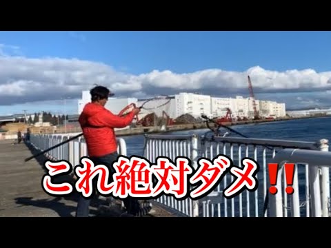 チヌ釣りでコレやると釣れ無くなります - YouTube