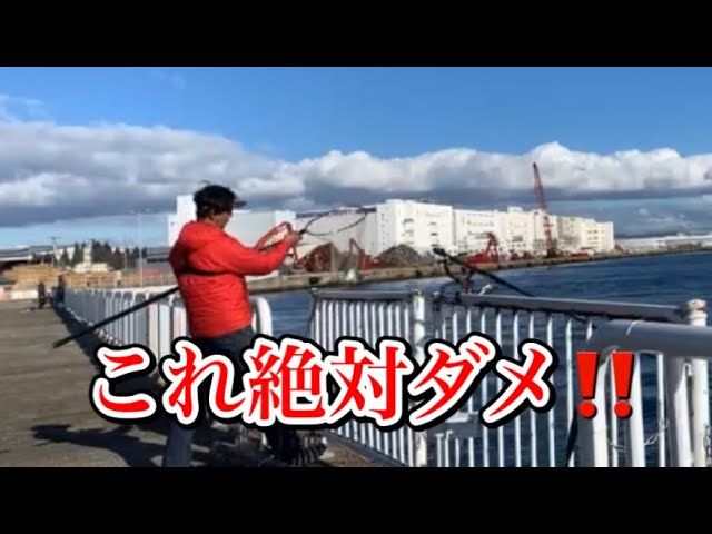 チヌ釣りでコレやると釣れ無くなります - YouTube