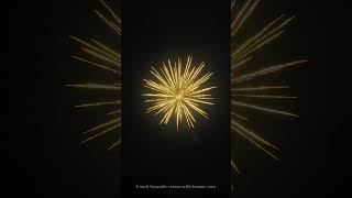 Brief but stunning, worth pausing to watch.#MutongFireworks #Fireworks#Malaysia Brief but stunning, worth pausing to watch.#MutongFireworks #Fireworks#Malaysia
