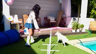 Valkyrae and Mika ABSOLUTELY CRUSHED it at the Dog Parkour