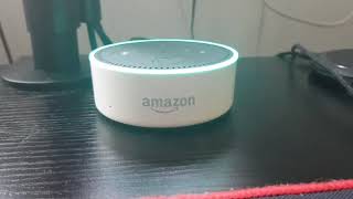Famous How to enable Super Alexa mode - Funny Easter Egg Net Worth