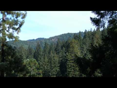 California&rsquo;s Cathedrals: Redwood State Parks