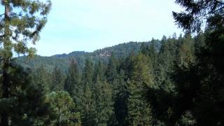 California's Cathedrals: Redwood State Parks