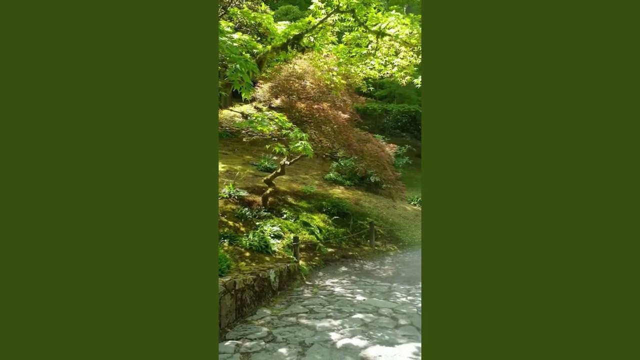 Washington Arboretum Japanese Garden