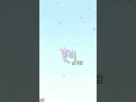 황가람 꽃비 가사 아홉스님 OST Part2