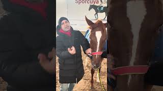 Gözyaşı Kının Yıkanması