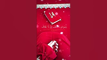 "سورة النمل كاملة | تلاوة خاشعة عذبة تهز القلوب | Surah An-Naml#سورة_النمل#القرآن_الكريم#تلاوة_خاشعة