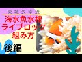 海水魚オーバーフロー水槽メンテナンスとリニューアル　【後編】　初心者から超上級者まで納得できる海水魚水槽のレイアウト ディスプレイ方法とは？小型海水魚（スズメダイ等）は安心して隠れられる場所が必要！