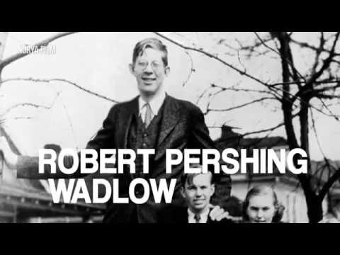 TARİHTE YAŞAMIŞ EN UZUN İNSAN - Robert Pershing Wadlow