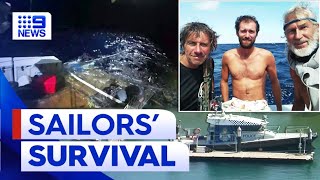 Three sailors return to Queensland after catamaran attacked by dozens of sharks | 9 News Australia