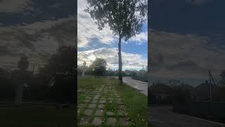 Родная Килия