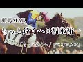 【競馬MAD】福永祐一騎手引退記念 ジョッキー列伝No.5 もっと遠くへ×福永祐一 「もっと遠くへ/ レミオロメン」