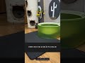 Anti-Streu Matte für Katzen – Sauber, Weich & Praktisch! #Katzenpfoten #MatteGegenDreck#Katzenhalter