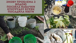 #43 Поливаємо город, знову проблема з водою/Посіяла кабачки, буряк і кукурудзу/Погане насіння квітів