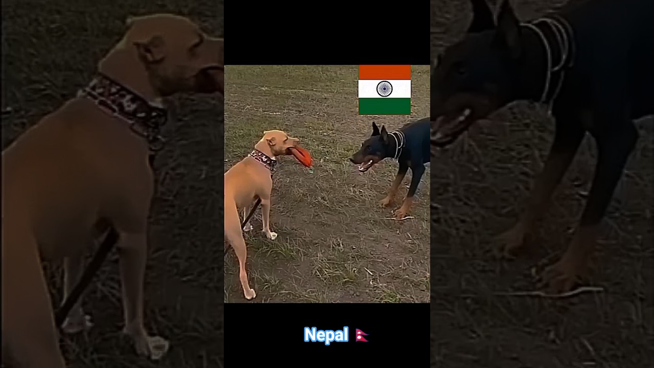Nepal 🙏🇳🇵