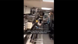 Report of Rat Droppings at Cranston Applebee's