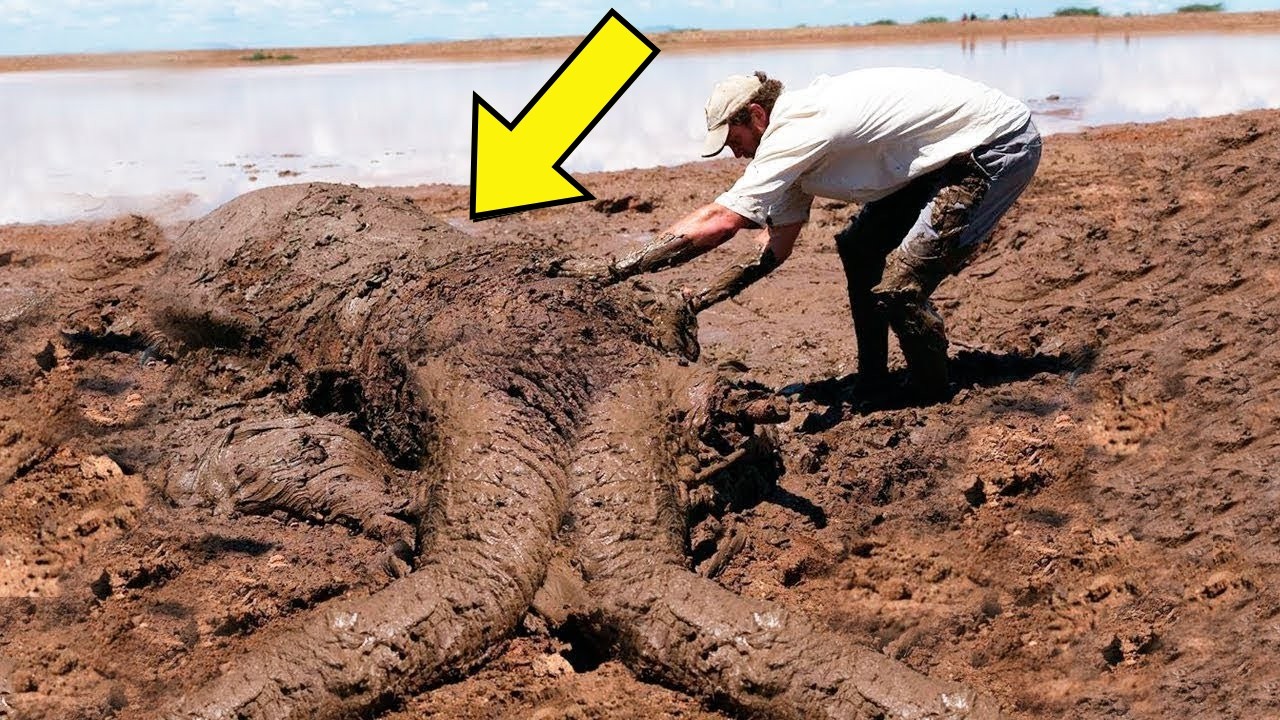 Shepherd Notices A Strange Lump In The Sand - Freaks Out When He Realizes What It Is