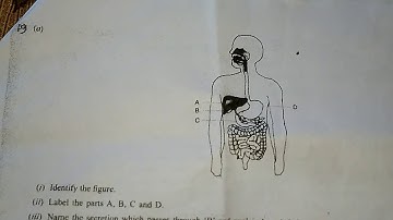 Question  paper of class 10 2017-18