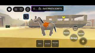 HOW TO USE RINGTA SCRIPT 
