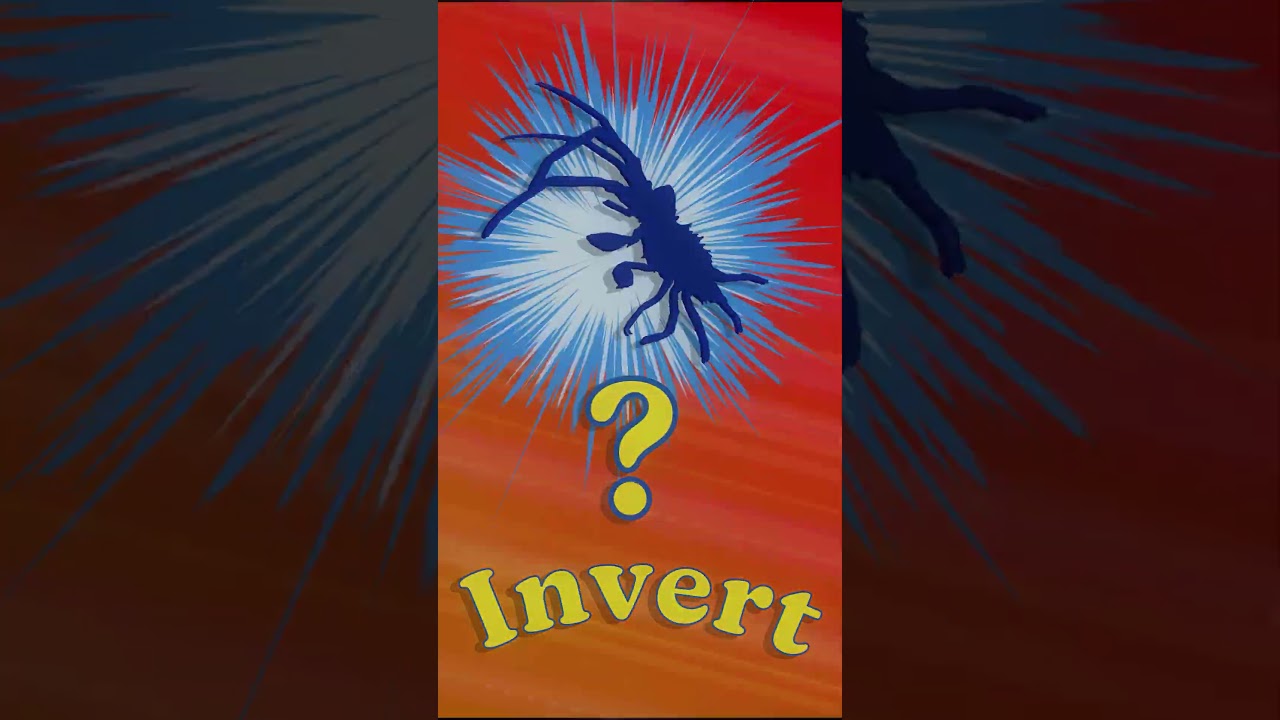 Who's that invertebrate?! Pt. 2