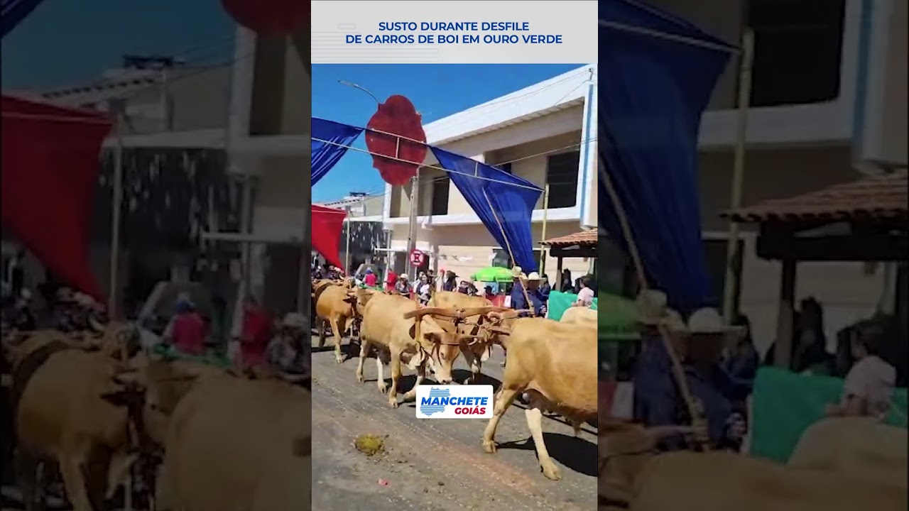 SUSTO DURANTE DESFILE DOS CARREIROS EM OURO VERDE