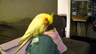 Christmas 2009.wmv