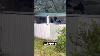 НАШЕЛ ОТЛИЧНОЕ МЕСТО ДЛЯ ЗАРАБАТЫВАНИЯ ДЕНЕГ #юмор #дом #готовыйбизнес