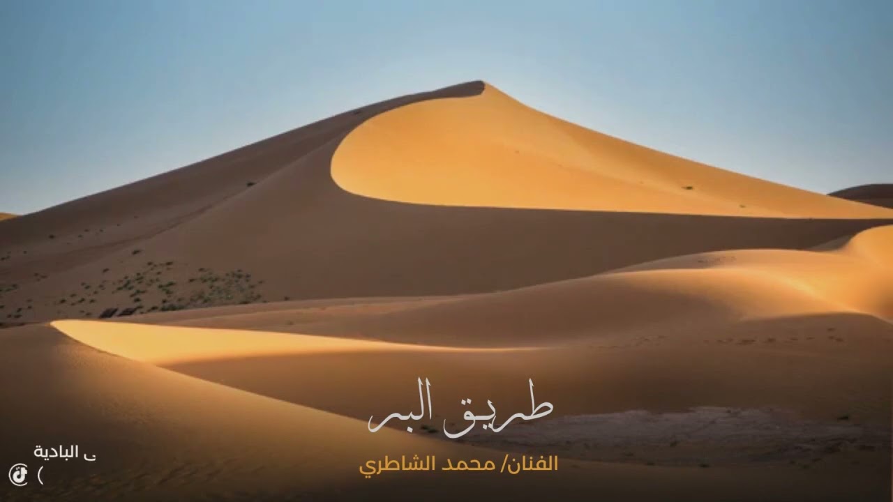 محمد الشاطري - طريق البر