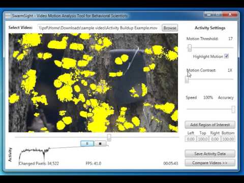 SwarmSight Detecting Movement Of A Swarm Of Bees